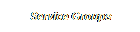 Service Groups